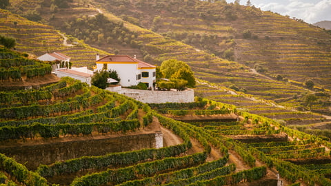 Villa Le Havre du Douro, Affitto a Portogallo del Nord