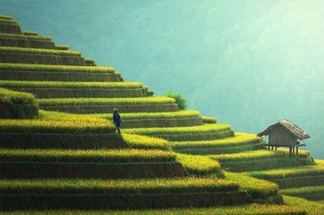 Your family holiday in Bali