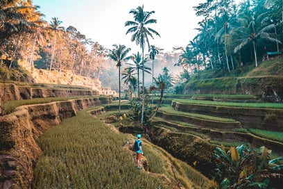 Bali: A cultural insight