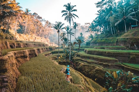 Bali: A cultural insight