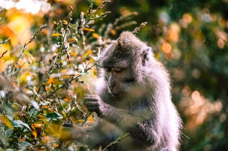 A panel of activities for children