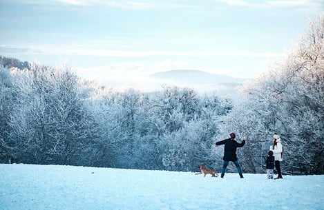 Our luxury chalets at the 3 Valleys resorts 