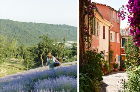 L'art de vivre provençal : culture et activités