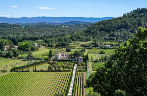 Que faire dans les Alpilles ? Nature et randonnée