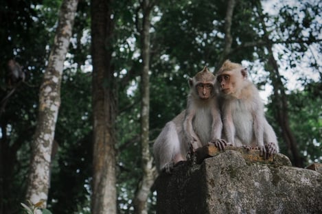 Les merveilles naturelles de l’île de Lombok, Indonésie