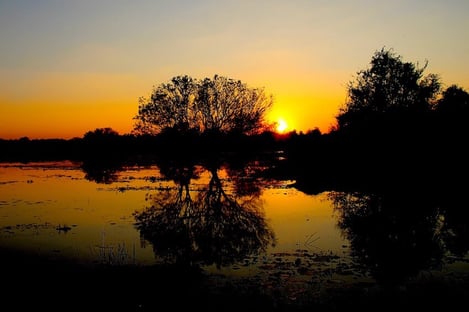 Visitez le site antique d’Anurâdhapura