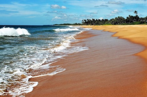 Offrez-vous un moment de détente près de Mirissa