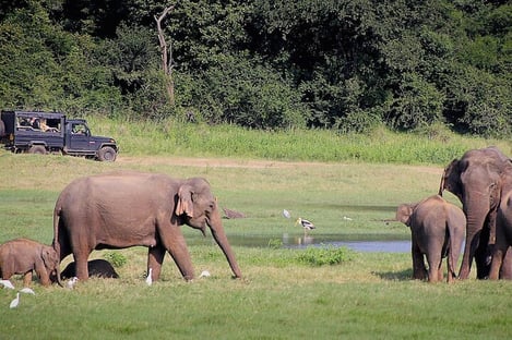 Activities for all tastes