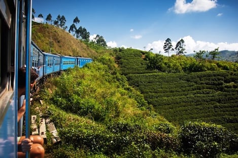 Other Sri Lankan national parks: Uda Walawe and Kumana Park