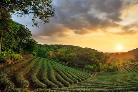 Majestic Natural Spaces