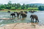Louer une villa de luxe au Sri Lanka