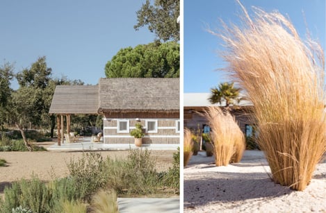 Comporta: A peaceful Christmas surrounded by nature