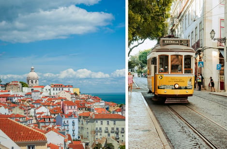 Lisbon: Portuguese Christmas food, markets and culture