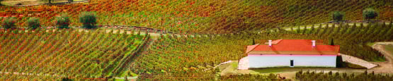 northern-portugal
