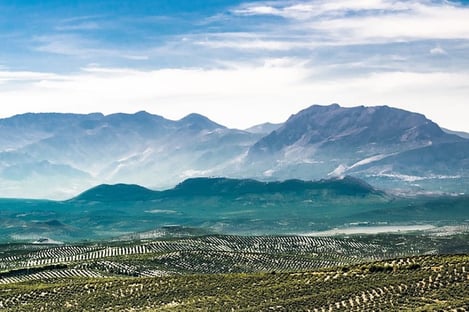 Ubeda: the hidden gem of Andalusia