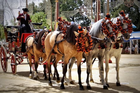 Les Festivals de Fuengirola