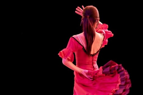 La Casa Del Flamenco - Seville