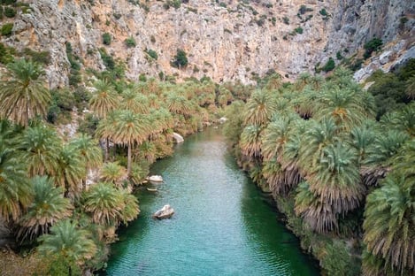 Preveli beach: The Palm Forest of the West