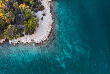 PASJAČA BEACH (The Special One)
