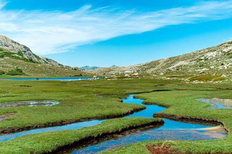 A hike with a donkey at the Lac de Nino