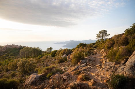 Que faire en Corse ?