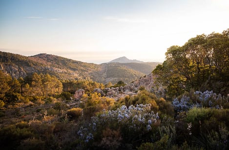 Quand partir en Corse ? Les meilleures saisons pour visiter l’Île de Beauté
