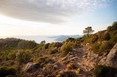 Culture, nature et luxe : Découvrez la Corse pour vos vacances 2025 