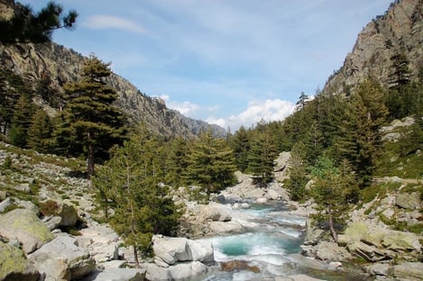 Les gorges de la Restonica