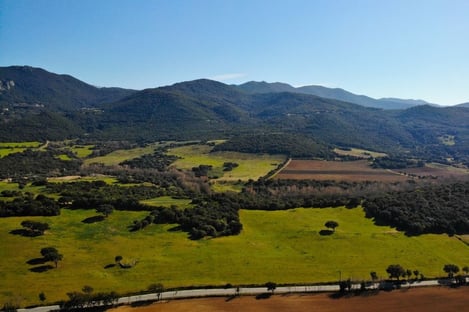 Elargissez vos horizons en Corse du Sud