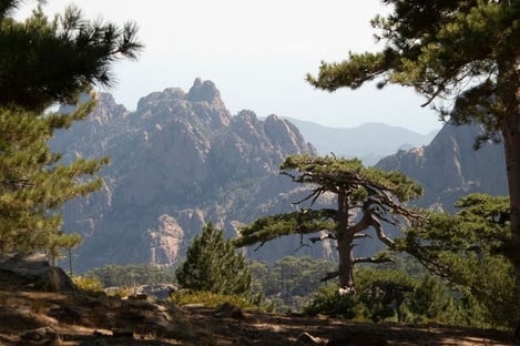 Elargissez vos horizons en Corse du Sud