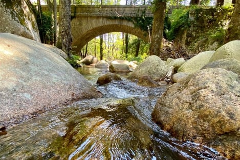 Elargissez vos horizons en Corse du Sud
