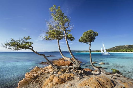 Villa rentals in Porto-Vecchio