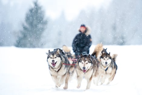 Saint Moritz, a mecca for winter sports