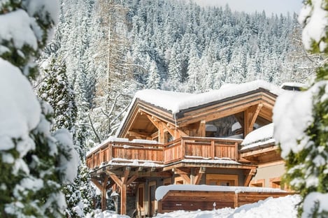 Chalet Ardoise