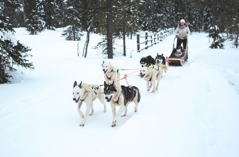 Family & nature activities beyond skiing for your winter getaways