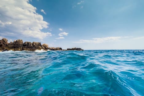 Visit the island of Lokrum