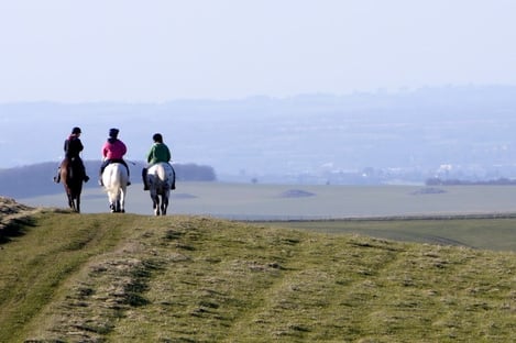 Équitation à Marrakech