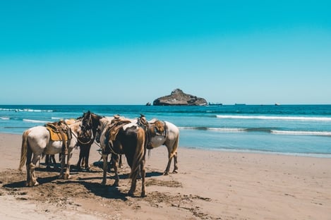 Marrakech et les randonnées à cheval
