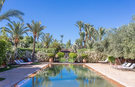 Food: Moroccan cuisine and specialties 