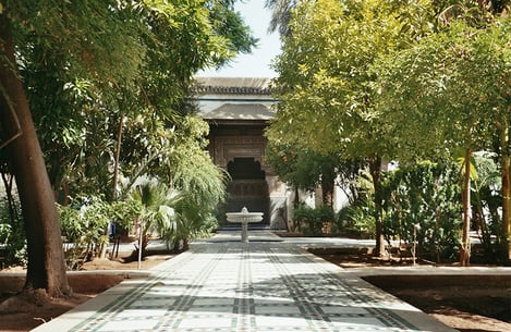Discover Marrakech in the winter