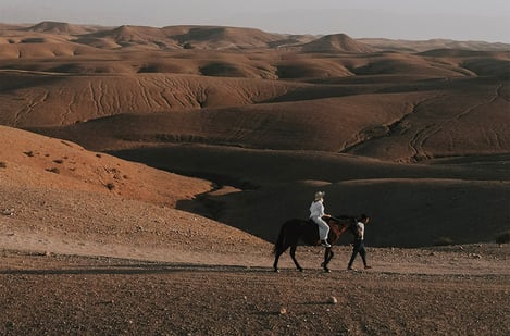 Découvrez Marrakech à cheval : une expérience inoubliable