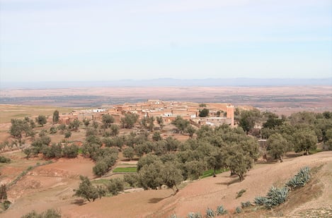 Les plus belles balades à cheval