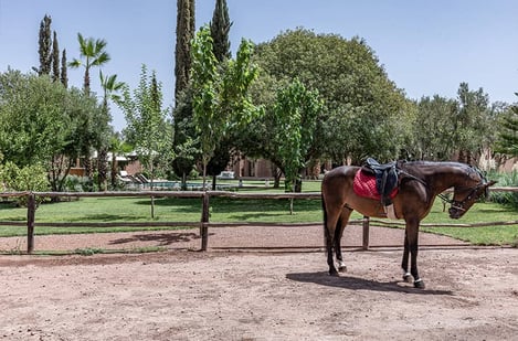Parlez-nous de la naissance de la Villa Talila. Quelle est son histoire ?