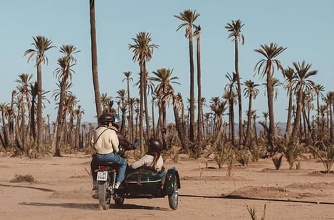 Activités et excursions à proximité de Marrakech