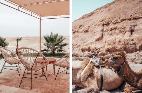 Trips from Marrakech: Private excursions to the Agafay & Atlas