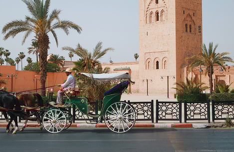 Activités et expériences familiales à Marrakech 