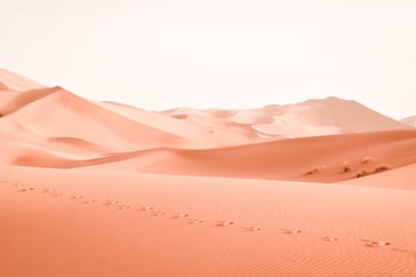 3 . Des déserts incroyables