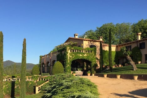 À Aitona, les fleurs de pêcher colorées illustrent la beauté du printemps en Catalogne !