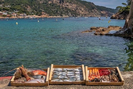 Restaurants not to be missed around Begur