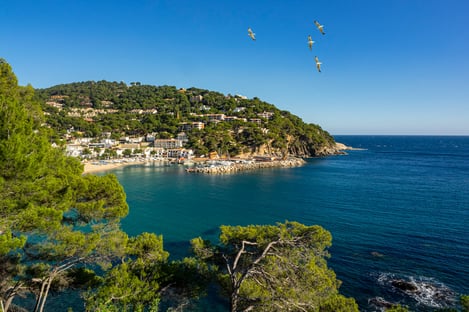 Our best restaurant addresses on the Costa Brava